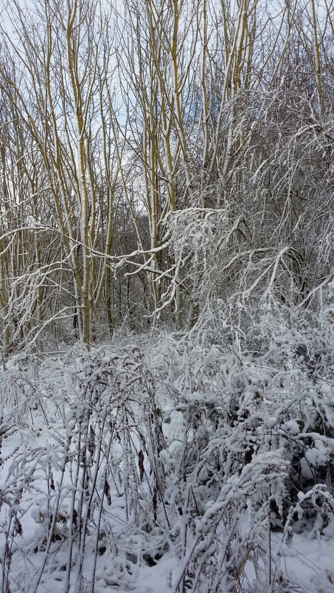 80278C39-90AD-4925-AB9C-600041CCDD72