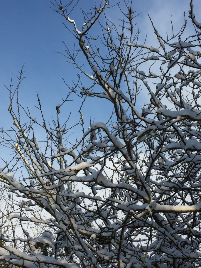 271F24D8-BACE-4447-ACD4-ED8ABE17D9F4