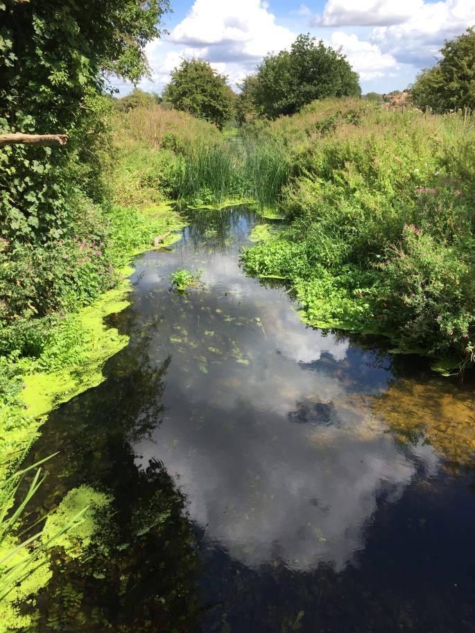 C904F963-5332-4AB5-BAFB-CC6BD22645AD