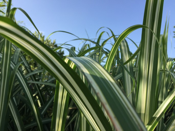 DB7EC74E-2102-4456-A02A-9DA6E7722B95