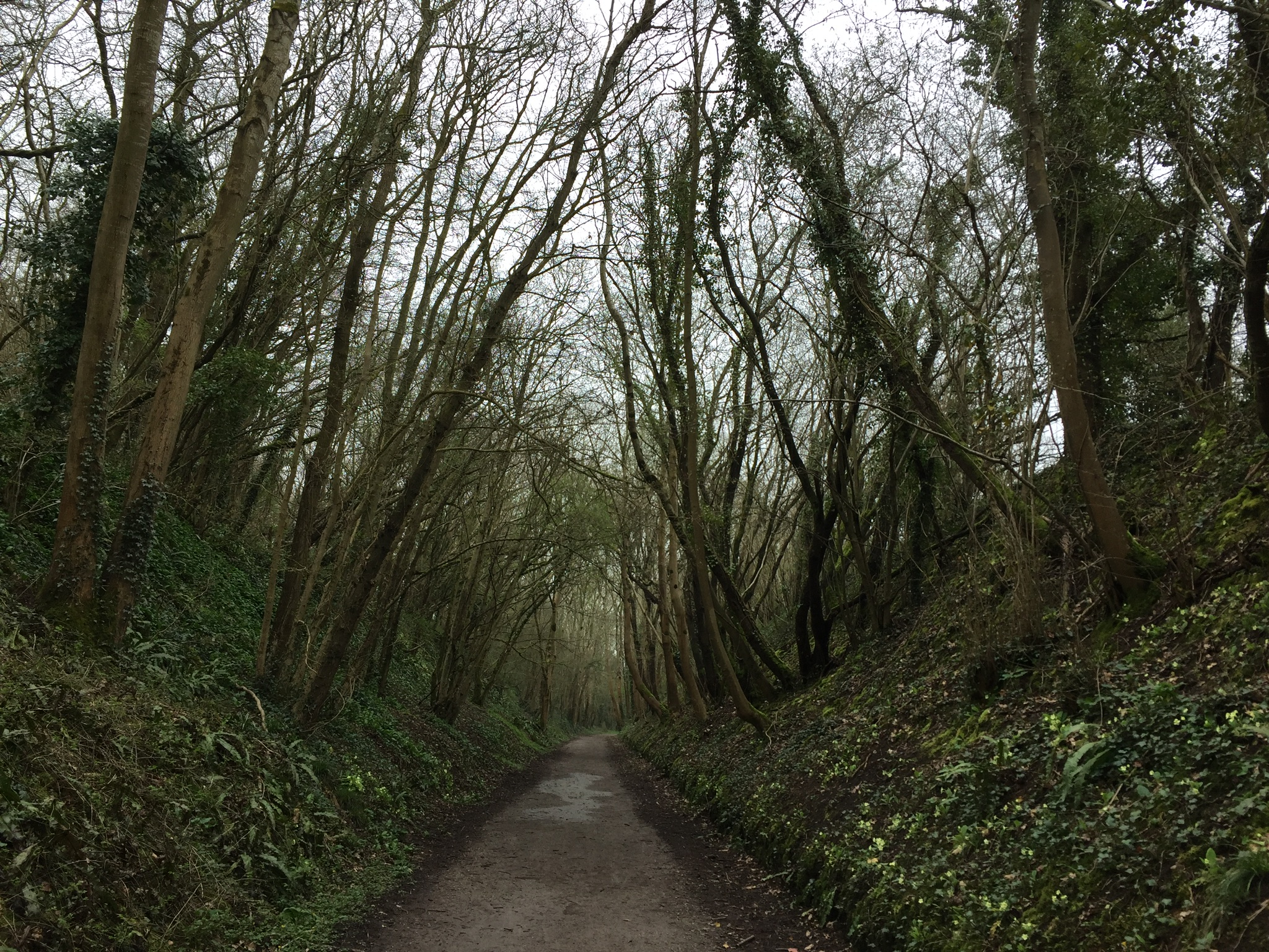 4501F034-B639-4EED-9088-329C3B0ED883