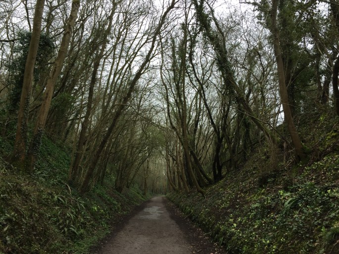 4501F034-B639-4EED-9088-329C3B0ED883