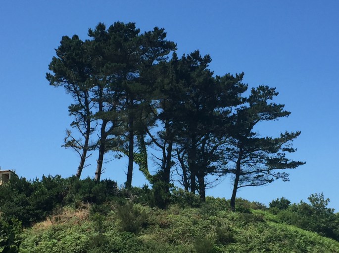 F8194133-BC87-4FEE-9581-1D4348D4B986