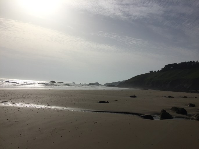 1DAA779B-518D-487F-8481-3F998948EC28