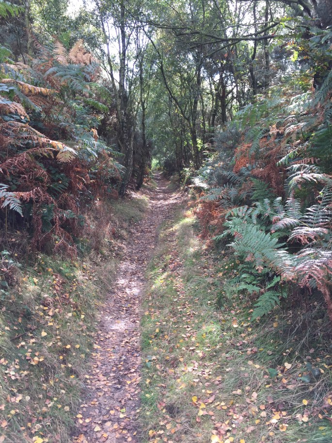 E4E7049E-91D8-4F0B-BDA7-7286AB83911B